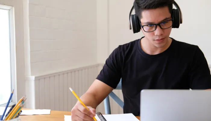 Learn the Dutch Language online