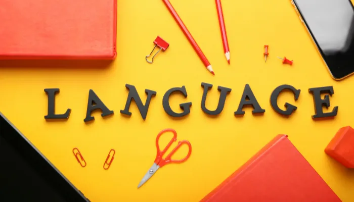 Why the Dutch Language Is Still One of the Most Valuable Languages to Learn in 2025?