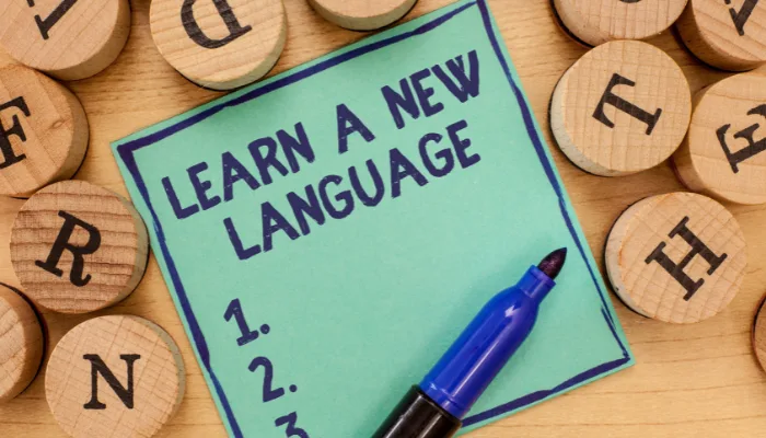 learn dutch language B2 level