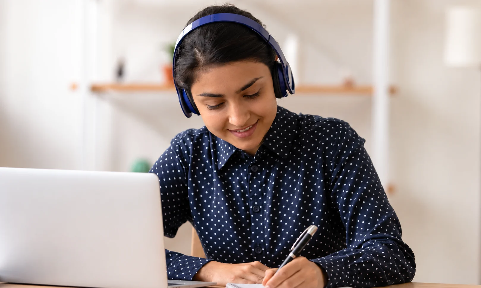 Online Dutch Language Course